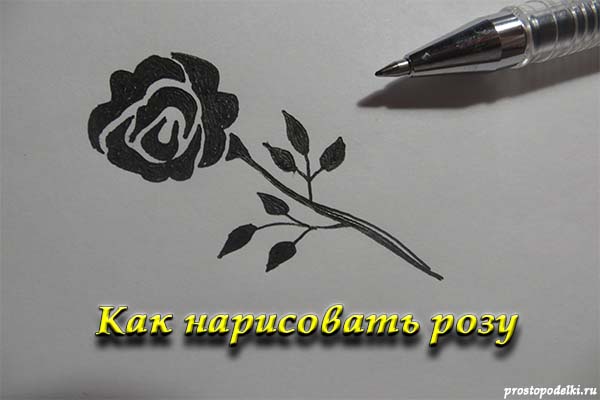 Как нарисовать розу-title