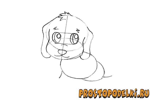 Как нарисовать щенка-06