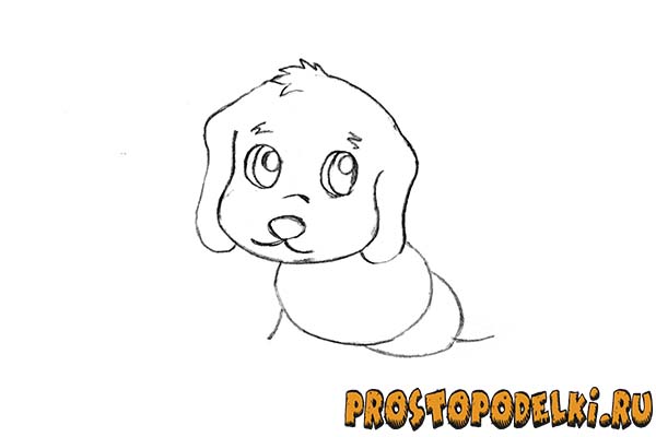 Как нарисовать щенка-07