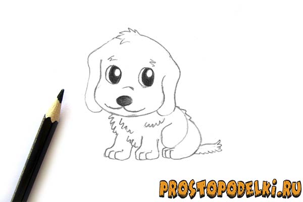 Как нарисовать щенка-09