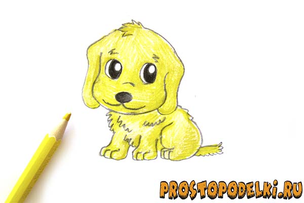 Как нарисовать щенка-10