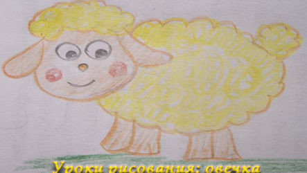 Как нарисовать овечку