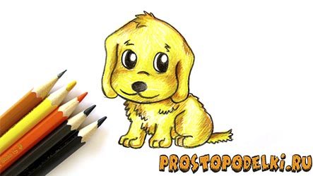 Как нарисовать щенка