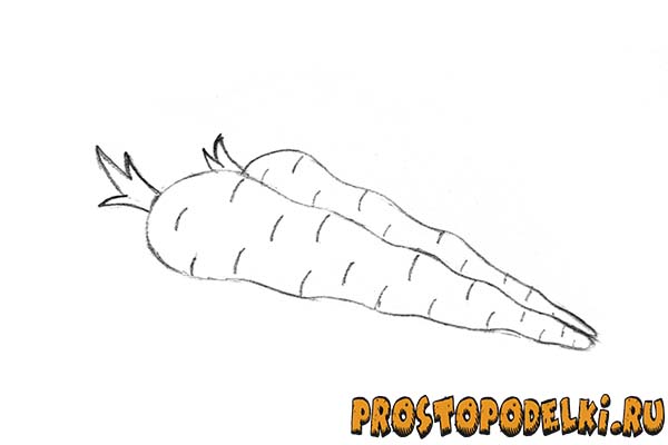 Как нарисовать морковь-06