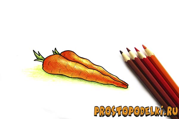 Как нарисовать морковь-09