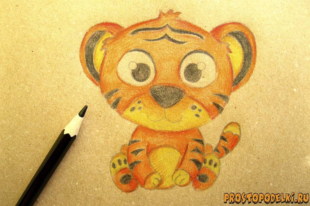 Как нарисовать тигренка-12