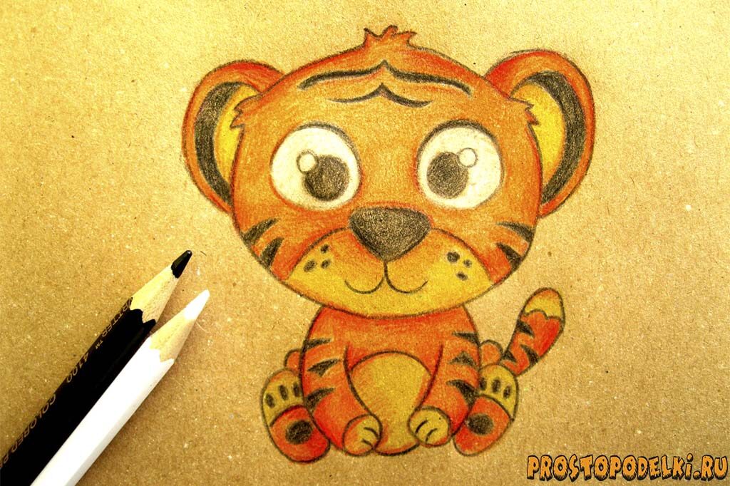 Как нарисовать тигренка-13
