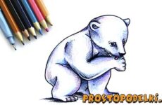 Как нарисовать белого медведя