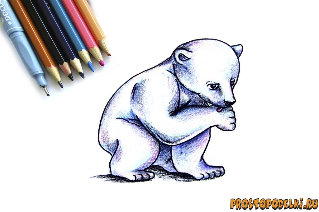 Как нарисовать белого медведя-title